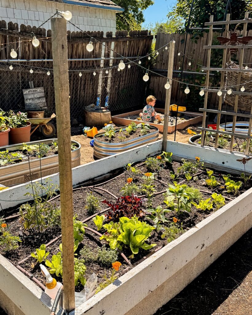 Garden Play Area