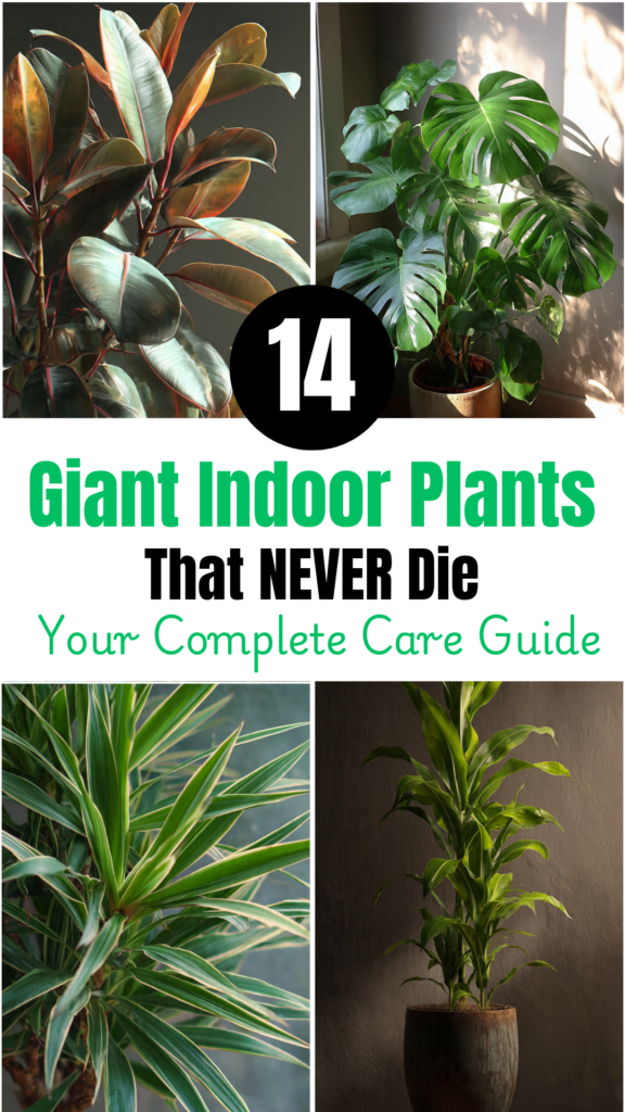 Giant Indoor Plants