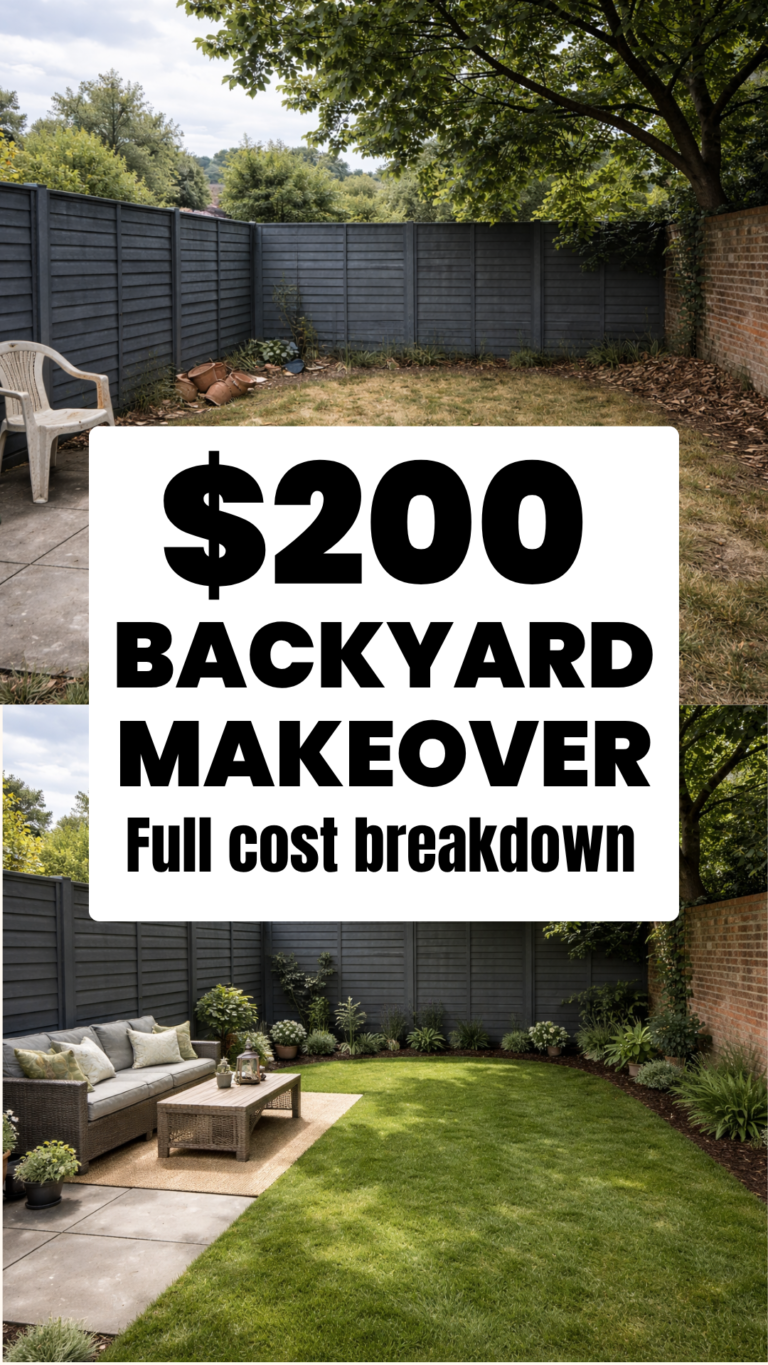 I Spent $200 Transforming My Ugly Backyard. Here Is Exactly What I Did.