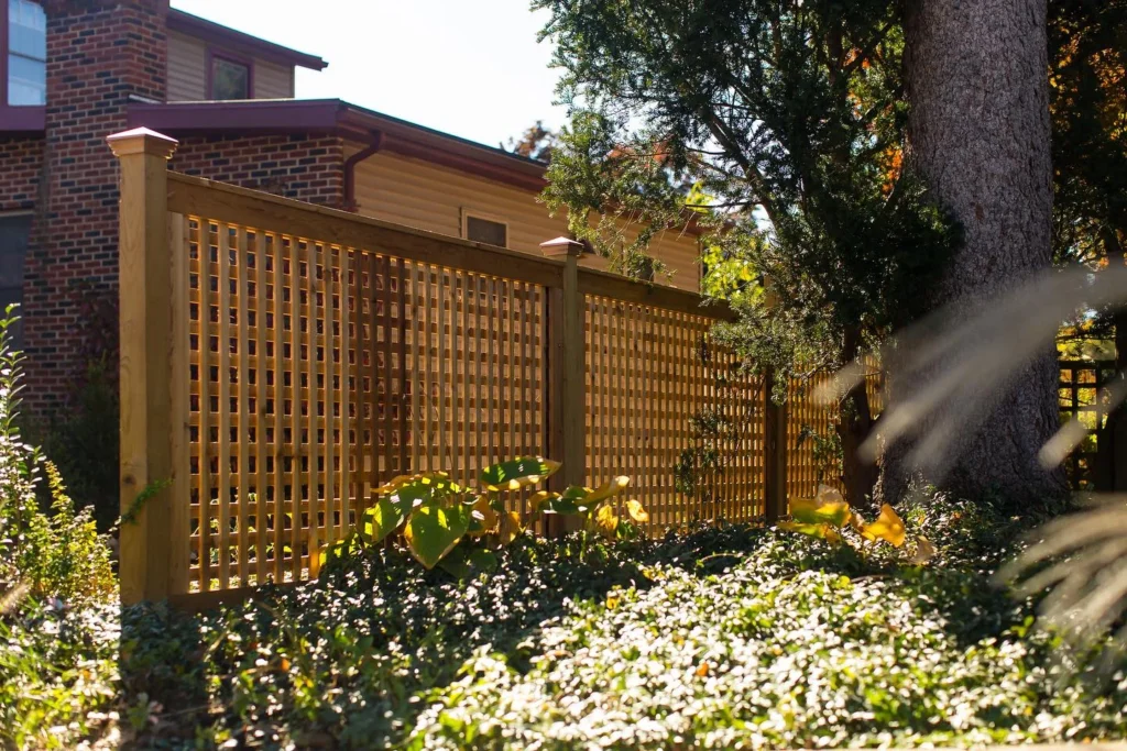 Classic Lattice Fence Layer