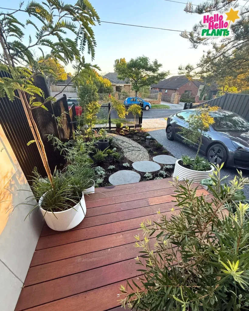 Compact Entry Garden Setup