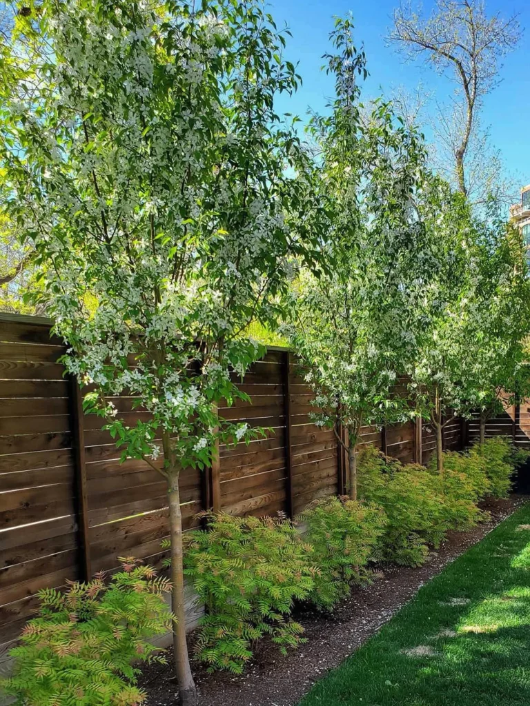 Tree Line Privacy Screen