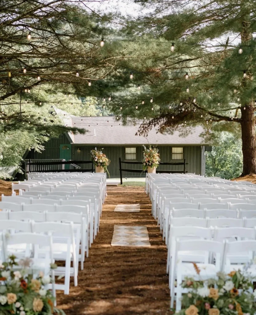 Tree-Shaded Seating Layout