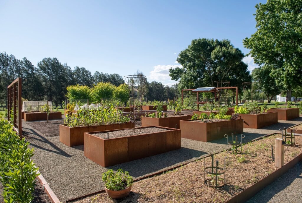 Large Raised Garden Boxes