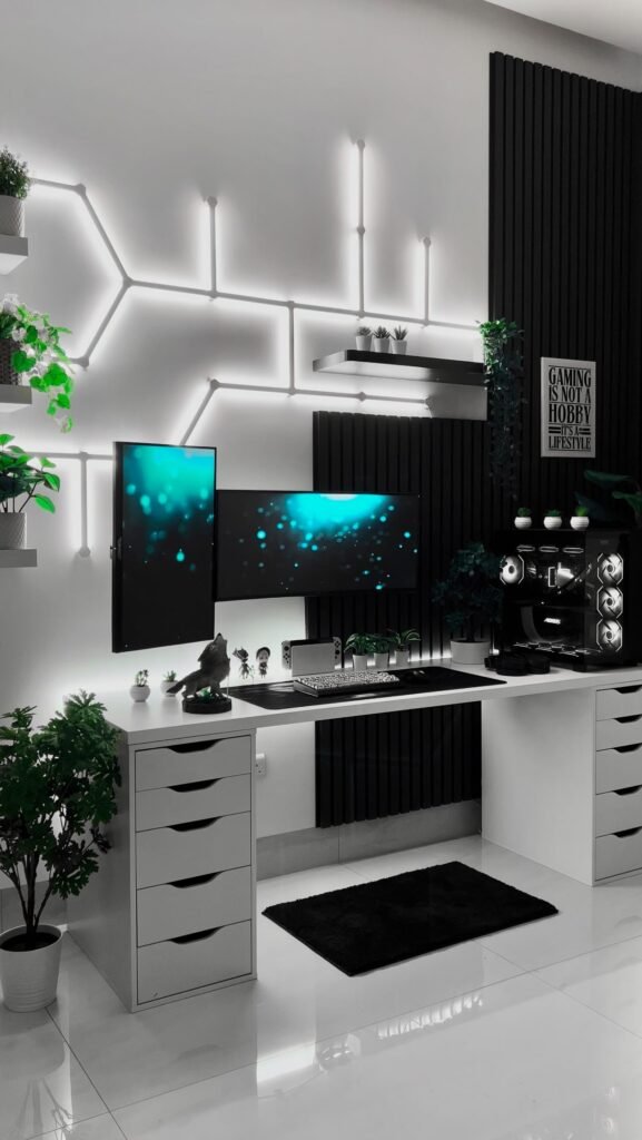 Black And White Setup