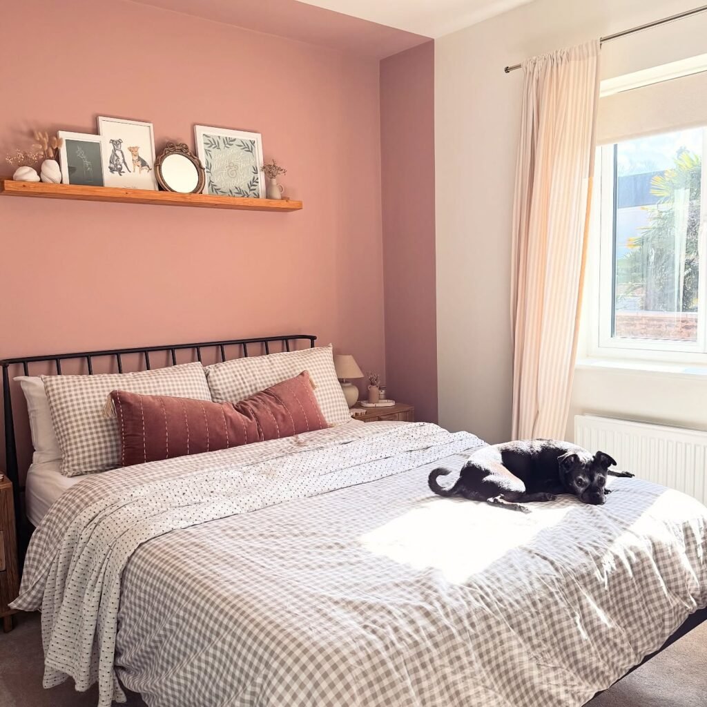 Blush Shelf Accent