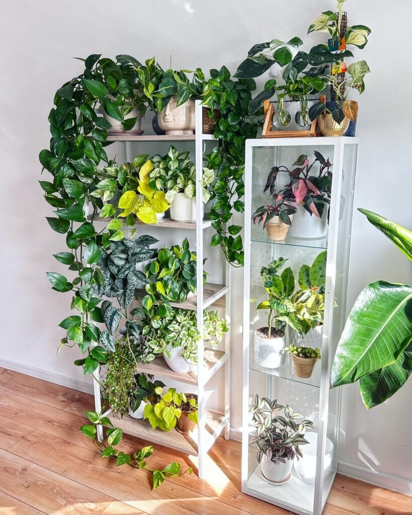 Build A Shelf Garden
