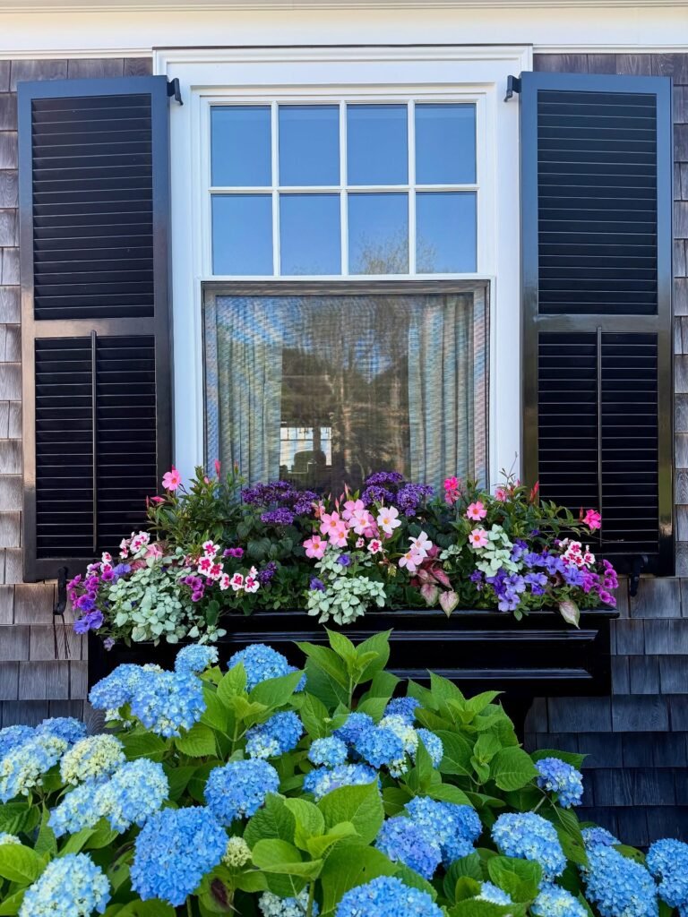 Classic Shuttered Window Box