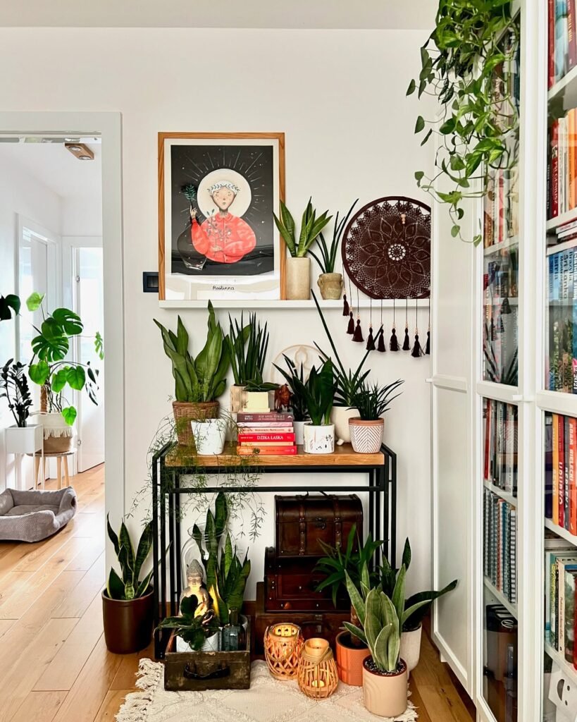 Create A Cozy Plant Vignette