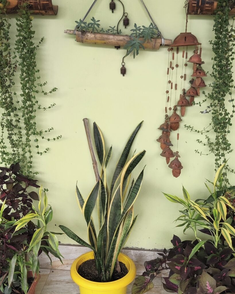 Create A Green Wall Corner