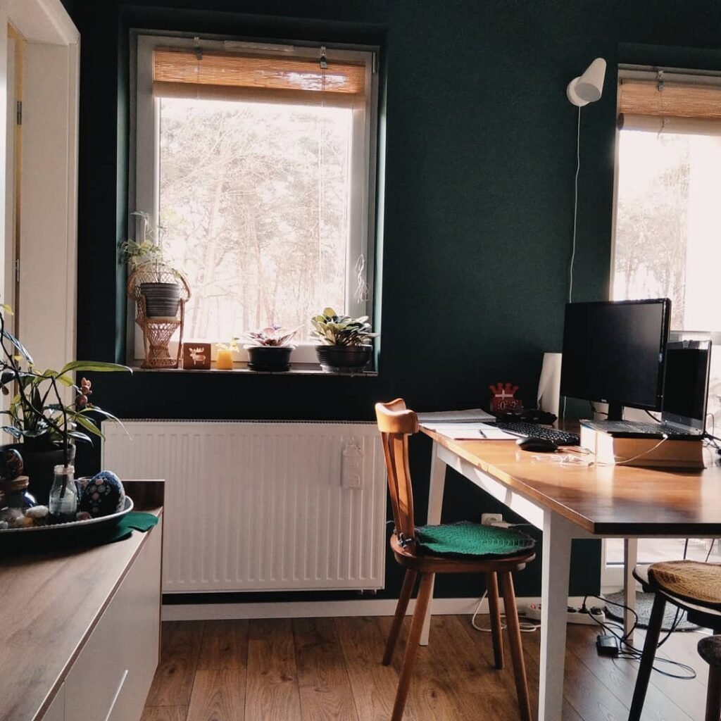 Dark Accent Office