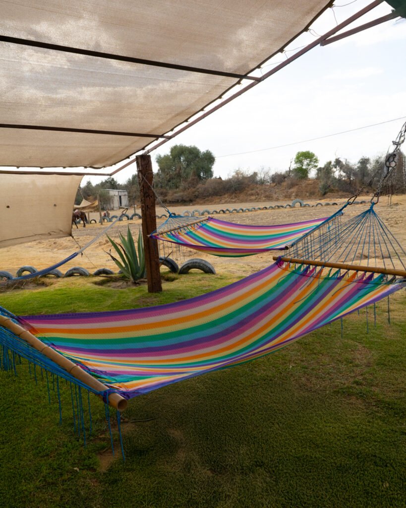 Double Hammock Shade
