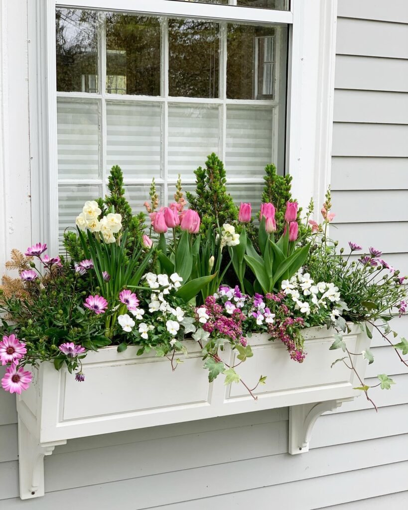 Evergreen Spring Mix