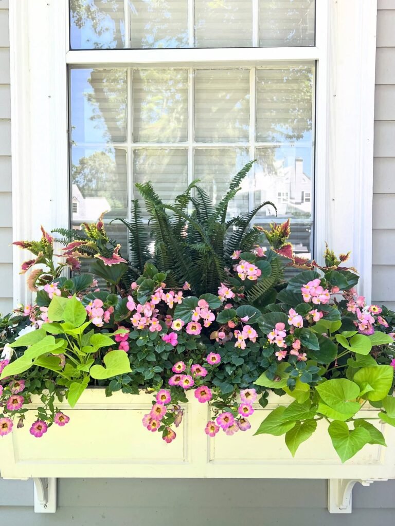 Fern And Flower Mix
