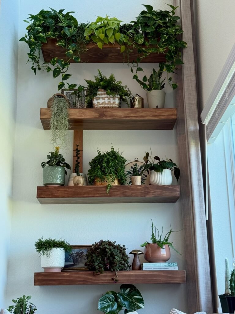 Indoor Plant Shelf Wall