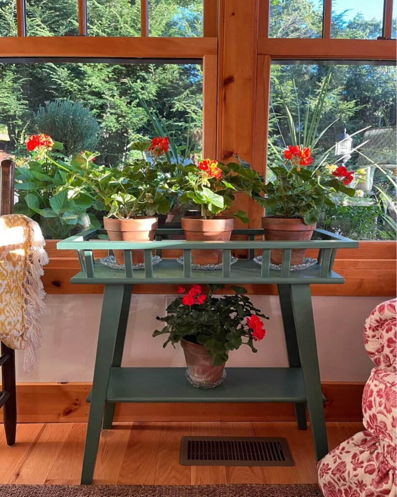 Indoor Window Garden