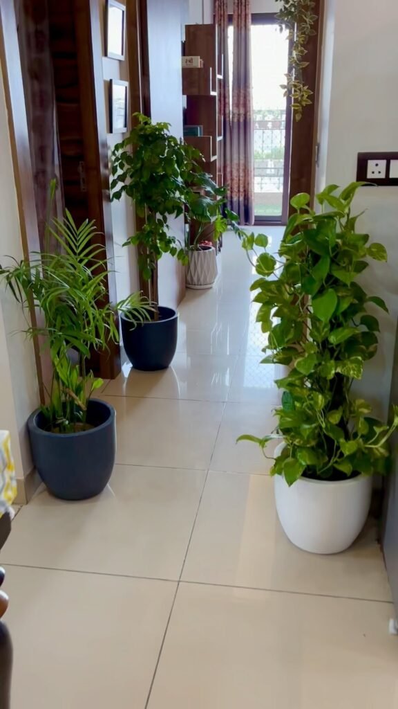 Make Entryways Feel Fresh