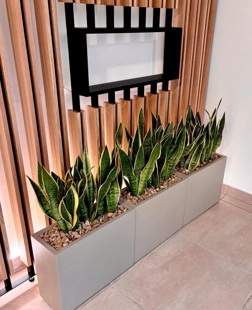 Modern Indoor Divider Planter