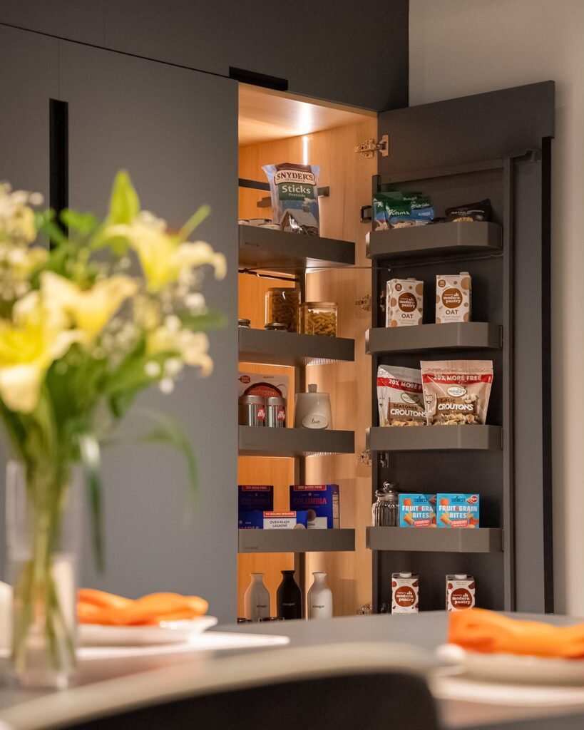Modern Pull-Out Pantry
