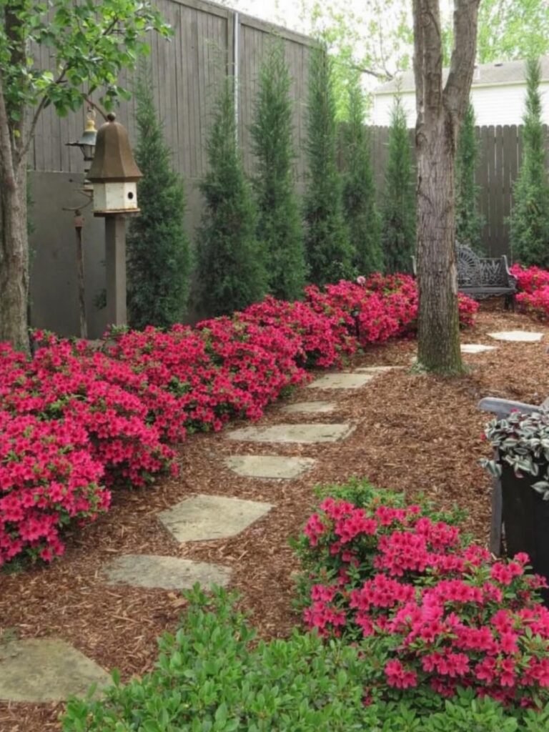 Mulched Stepping Stone Path