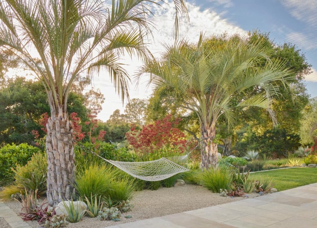 Palm Tree Hammock