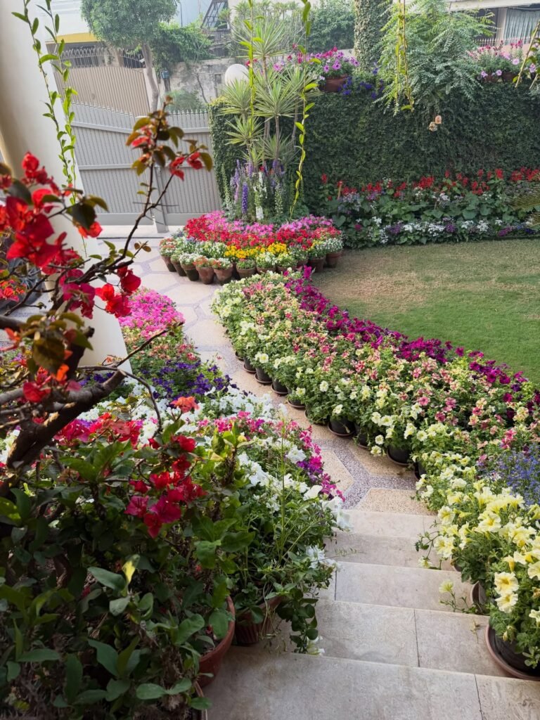  Potted Flower Courtyard Path