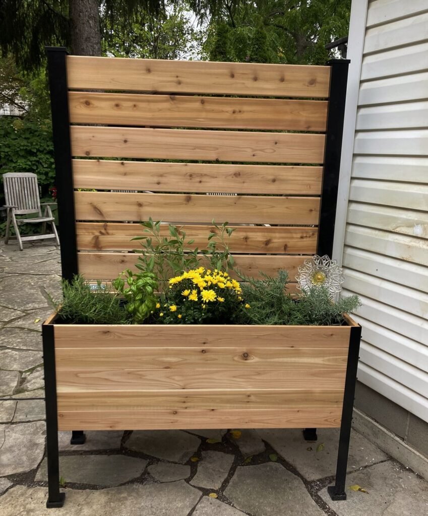 Privacy Screen Planter