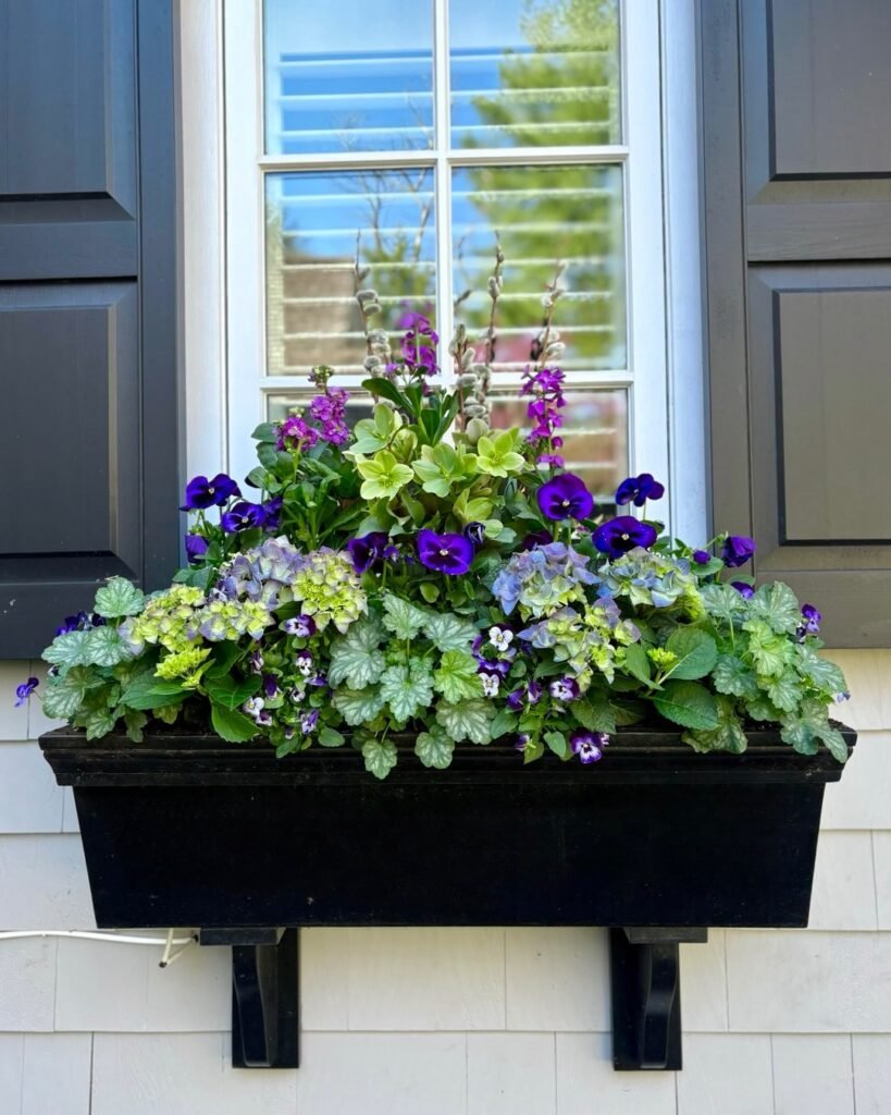 Purple Shade Flowers