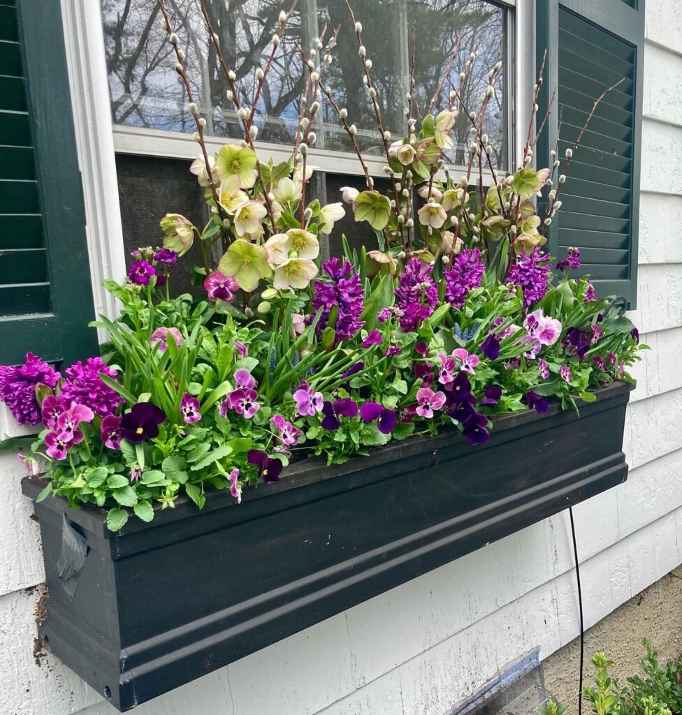 Purple Spring Layers