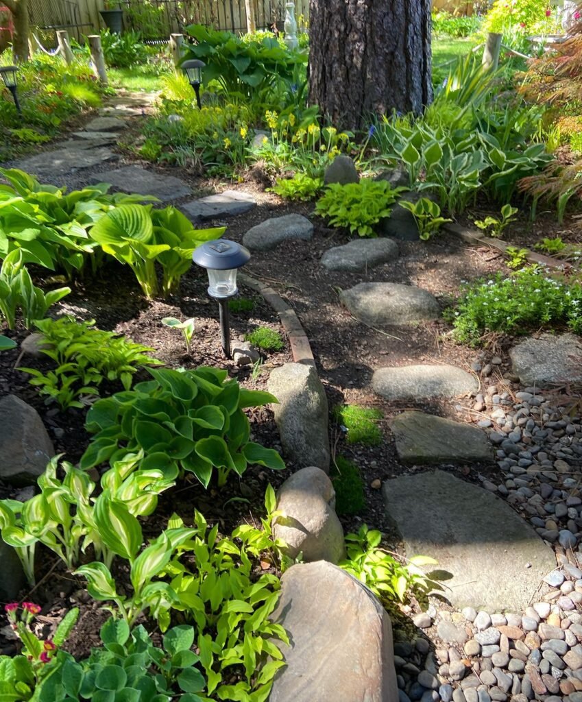 Shaded Woodland Stone Path