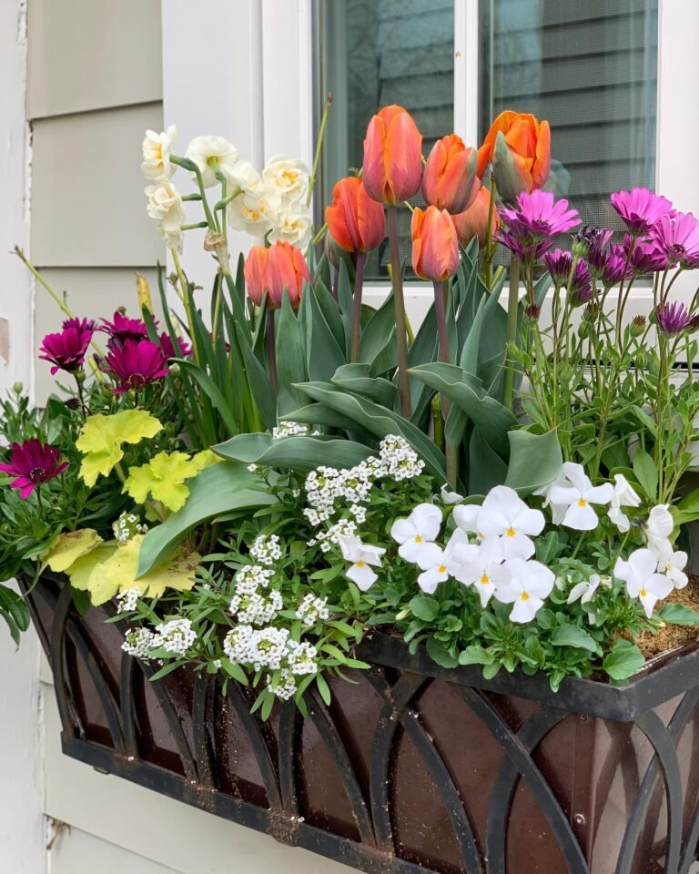 25 Window Box Ideas That Add Charm, Color, and Curb Appeal