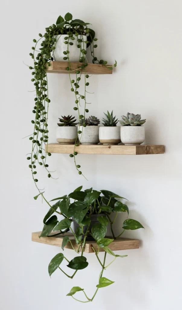 The Floating Shelf Trio