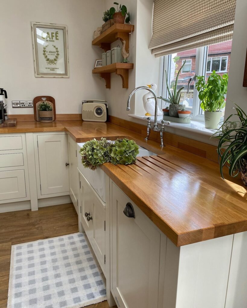 Use a Sunny Plant Corner