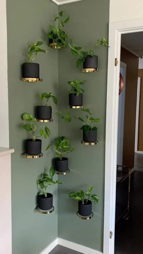Wall-Mounted Plant Pots