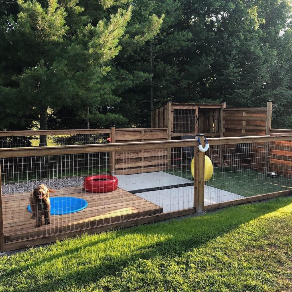 Activity Dog Yard