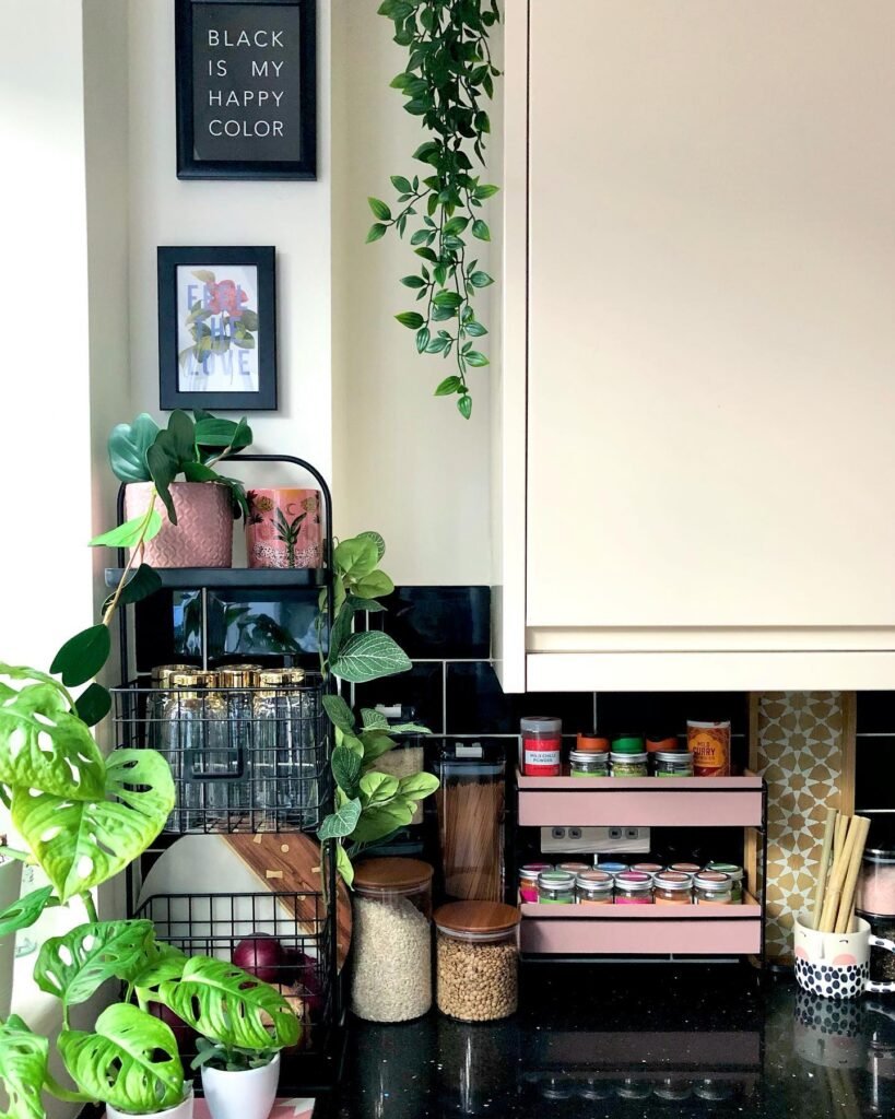 Countertop Spice Station