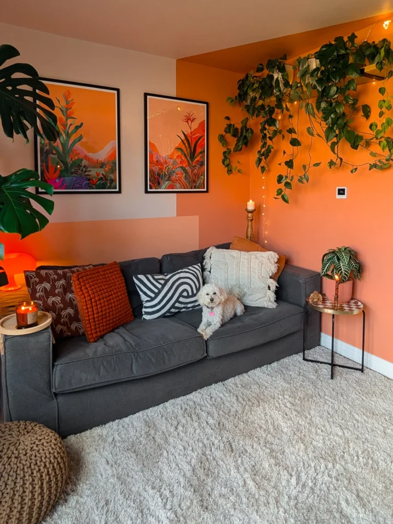 Orange Accent Wall