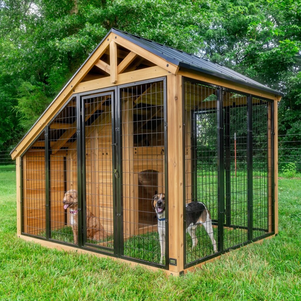 Shared Dog Enclosure