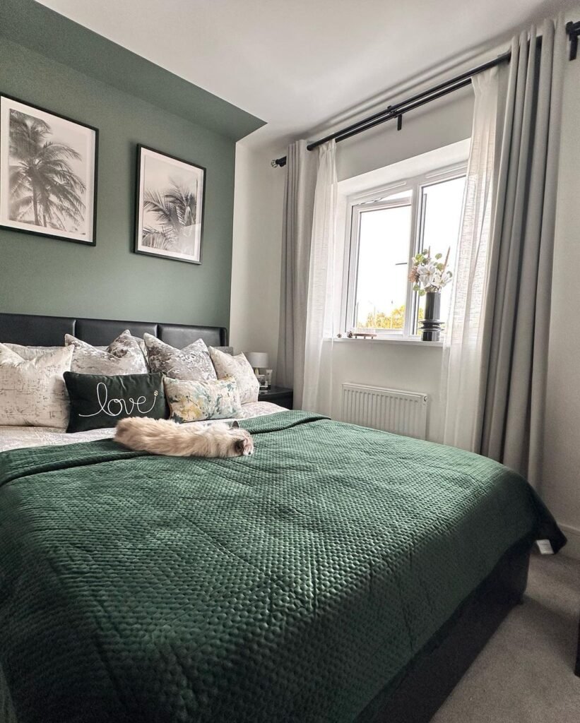 Soft Sage Feature Wall
