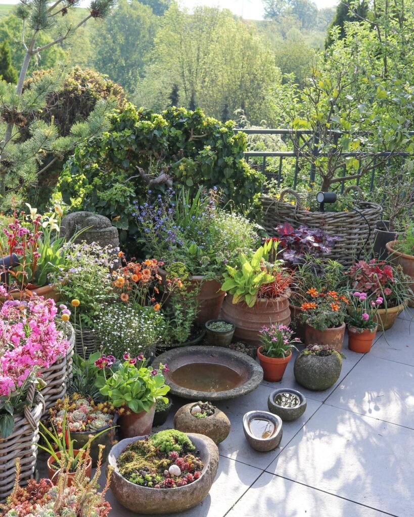 Abundant Container Collection