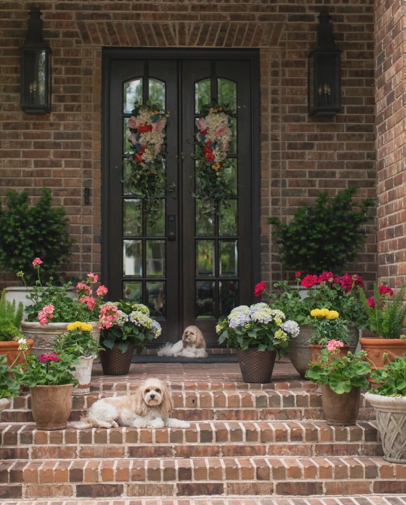 Layered Container Garden