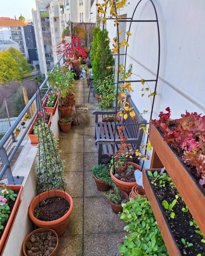 Productive Balcony Garden